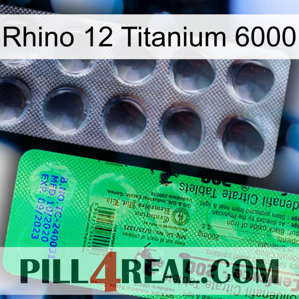 Rhino 12 Titanium 6000 new04.jpg